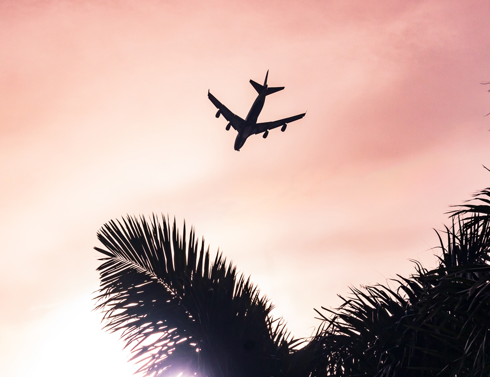 Royal Palm Resort Travel