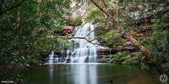 Springbrook National Park Waterfall