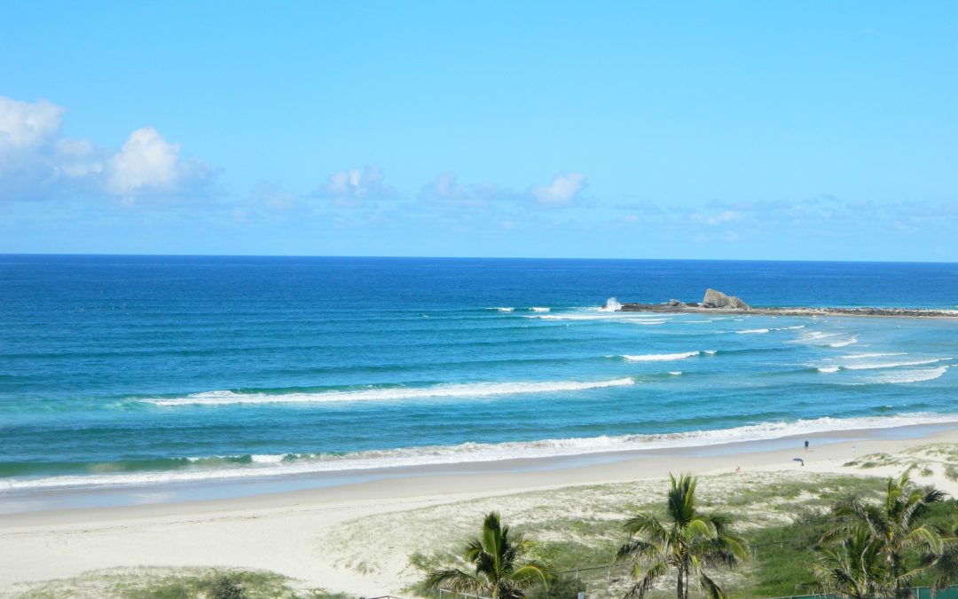 Royal Palm Resort Palm Beachfront Currumbin Alley