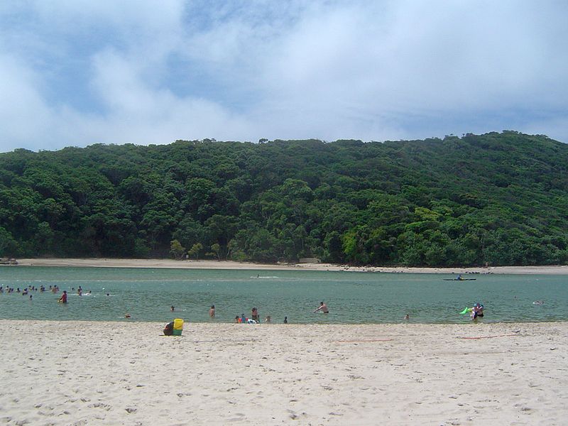 Tallebudgera Creek