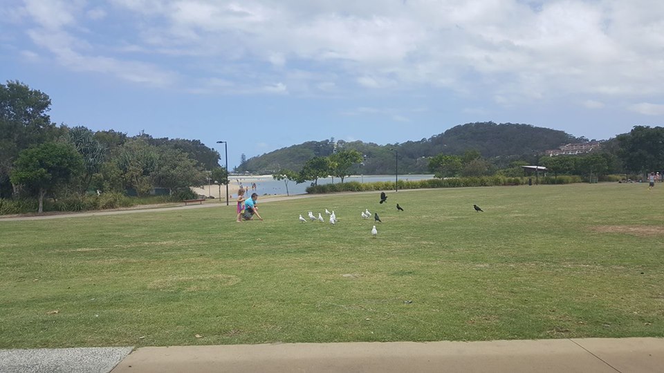 Kids Will Enjoy the Palm Beach Parklands and Treasure Island Playground