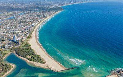Creek or beach today? The Royal Palm morning decision, explained